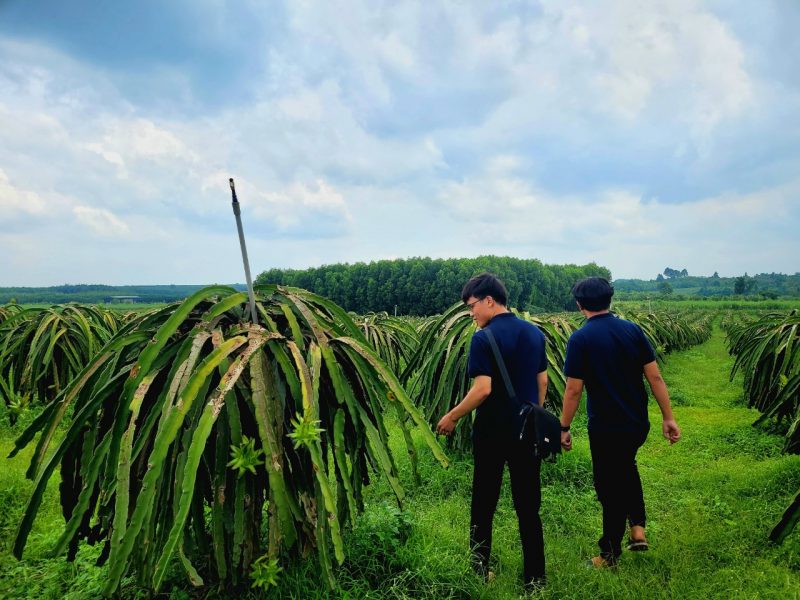 Sense tham quan thực tế nông trại