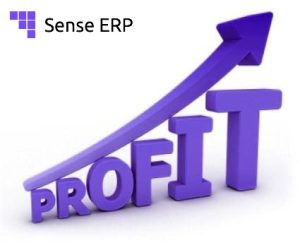 Tăng doanh thu và lợi nhuận cùng SENSE ERP